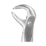GDC Tooth Forceps Premium (FX73P)