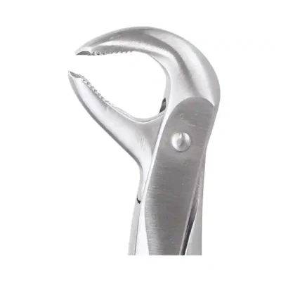 GDC Tooth Forceps Premium (FX73P)
