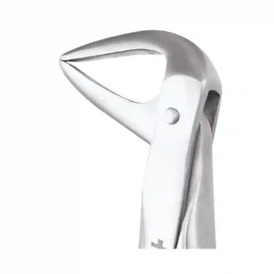 GDC Tooth Forceps Premium (FX74NP)