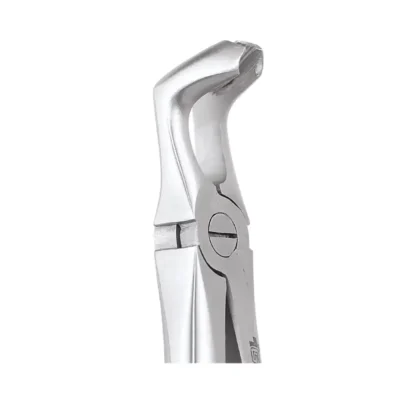 GDC Tooth Forceps Premium (FX79P)