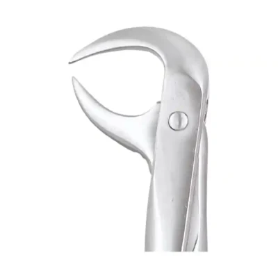 GDC Tooth Forceps Premium (FX86AP)