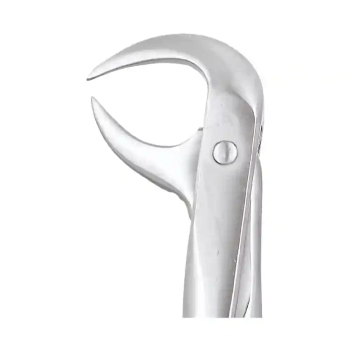GDC Tooth Forceps Premium (FX86AP)