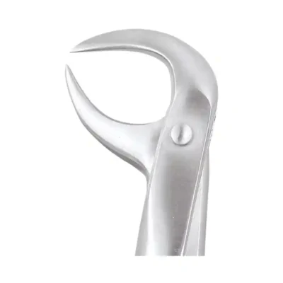 GDC Tooth Forceps Premium (FX86BP)