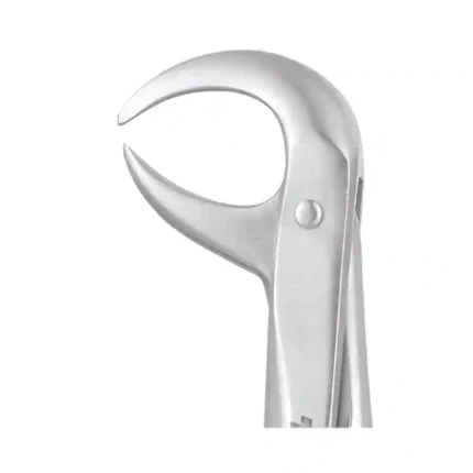 GDC Tooth Forceps Premium (FX86CP)