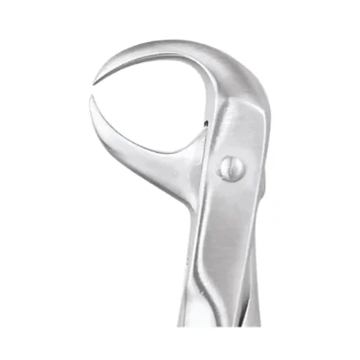 GDC Tooth Forceps Premium (FX86P)
