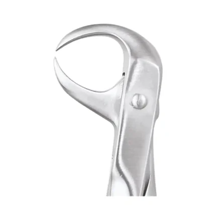 GDC Tooth Forceps Premium (FX86P)