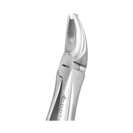 GDC Tooth Forceps Premium (FX90P)