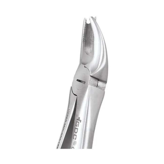 GDC Tooth Forceps Premium (FX90P)