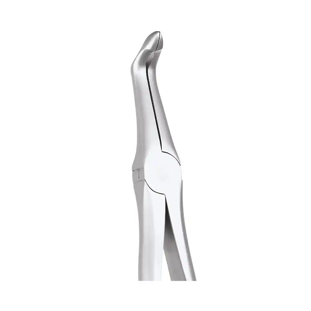 Gdc Tooth Forceps Secure Lower Root (Sfx959.01) GDC Tooth Forceps Secure Lower Root (SFX959.01)