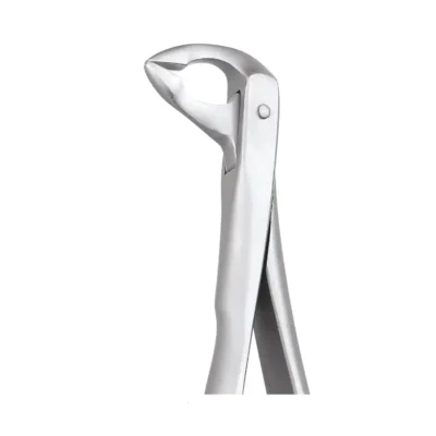 GDC Tooth Forceps Secure Lower Root (SFX974.00)