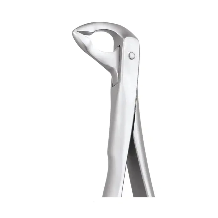 GDC Tooth Forceps Secure Lower Root (SFX974.00)