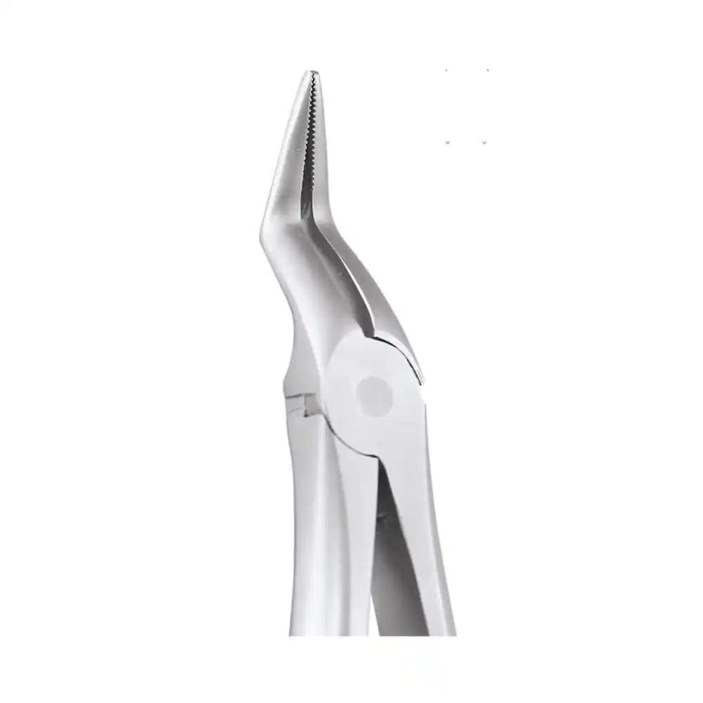 Gdc Tooth Forceps Secure Upper Root (Sfx197.11) GDC Tooth Forceps Secure Upper Root (SFX197.11)