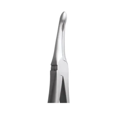 GDC Tooth Forceps Secure Upper Root (SFX944.00)