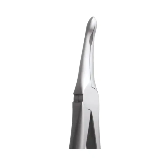 GDC Tooth Forceps Secure Upper Root (SFX944.00)