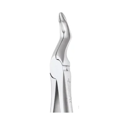 GDC Tooth Forceps Secure Upper Root (SFX951.00)