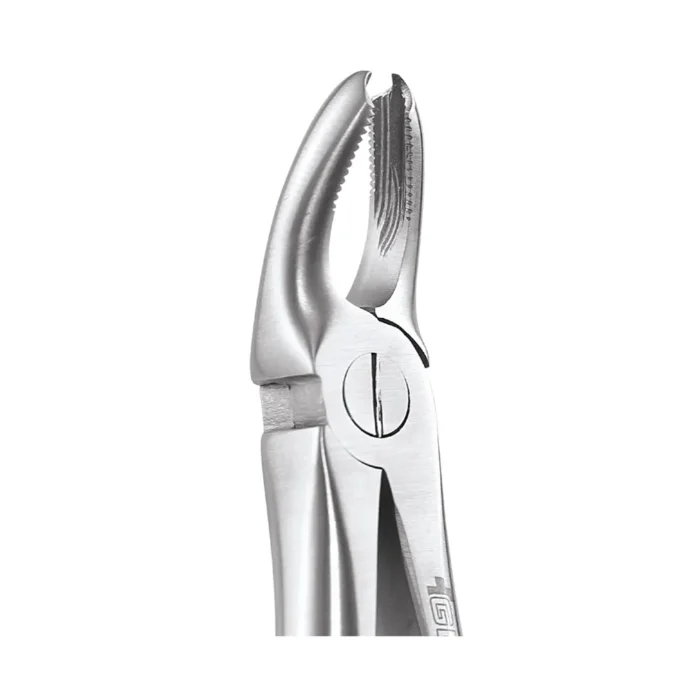 GDC Tooth Forceps Standard (FX18AS)