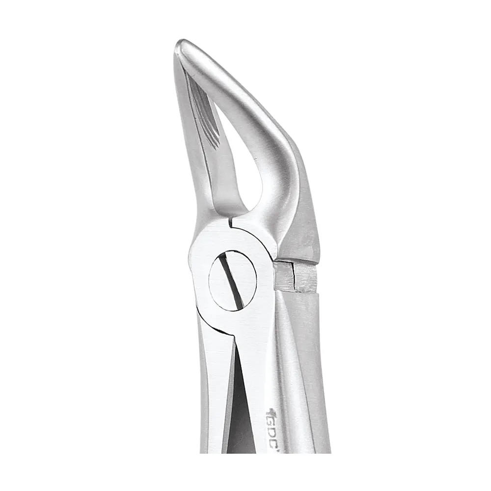 Gdc Tooth Forceps Standard (Fx31S) GDC Tooth Forceps Standard (FX31S)