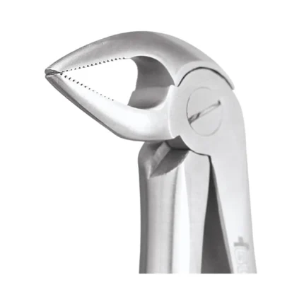 GDC Tooth Forceps Standard (FX33AS)