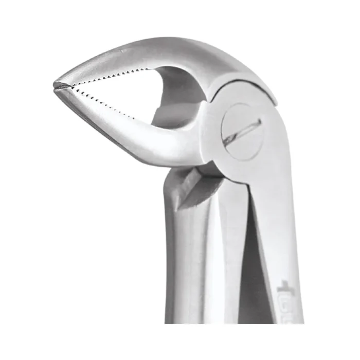 GDC Tooth Forceps Standard (FX33AS)