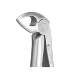 GDC Tooth Forceps Standard (FX33S)