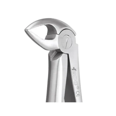 GDC Tooth Forceps Standard (FX33S)