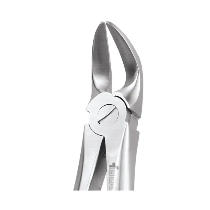 GDC Tooth Forceps Standard (FX56S)