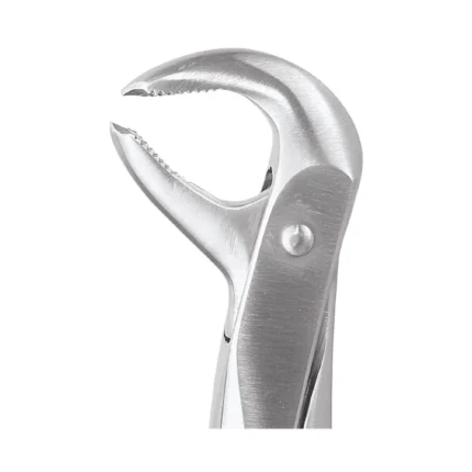 GDC Tooth Forceps Standard (FX74S)