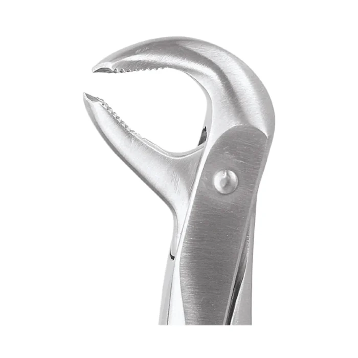 GDC Tooth Forceps Standard (FX73S)