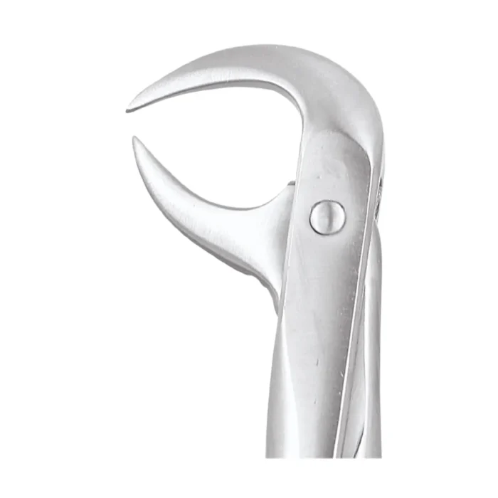GDC Tooth Forceps Standard (FX86AS)