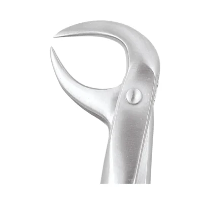 GDC Tooth Forceps Standard (FX86BS)