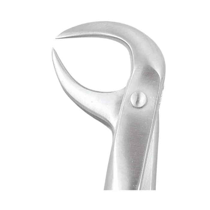 GDC Tooth Forceps Standard (FX86BS)