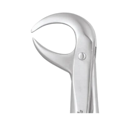 GDC Tooth Forceps Standard (FX86CS)