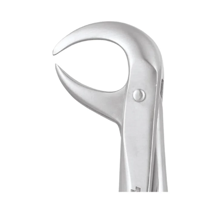 GDC Tooth Forceps Standard (FX86CS)