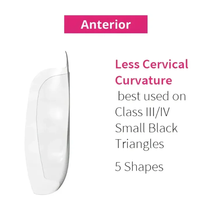 anterior_matrix-5