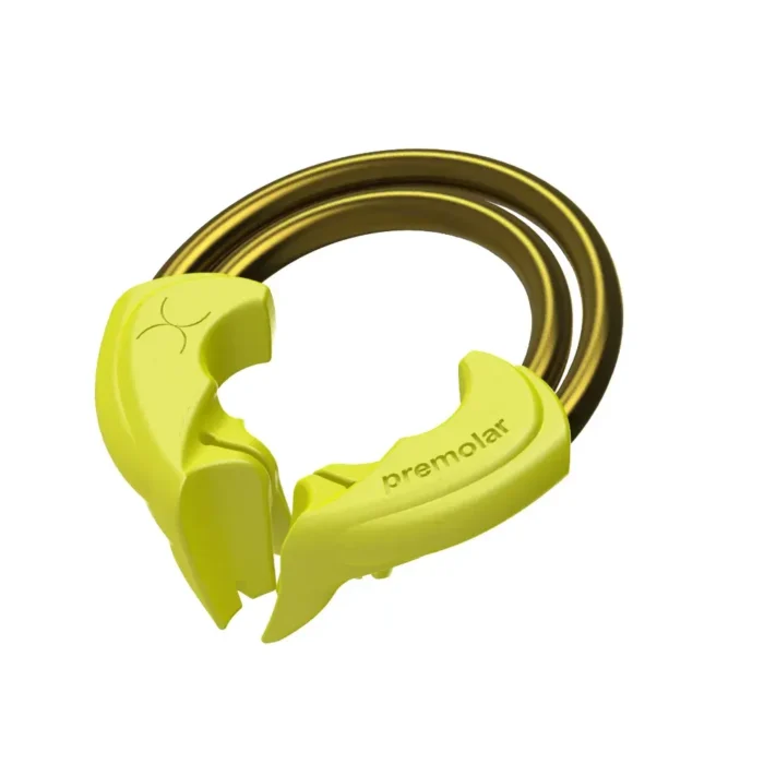 bioclear_premolar