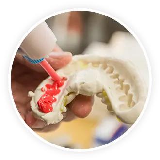 Prosthodontic-Cat