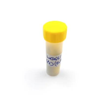Classic Plastic Wedges (Pack of 50)